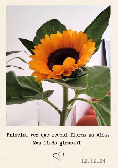 Bunita e Lindo